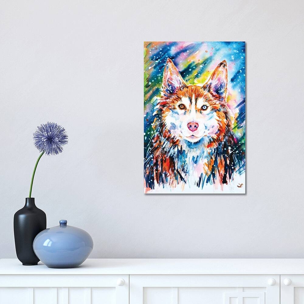 iCanvas "Husky" by Zaira Dzhaubaeva Canvas Print