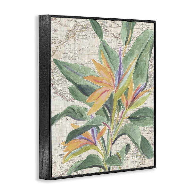 Stupell Tropical Flower over Map Framed Giclee Art Design By June Erica Vess