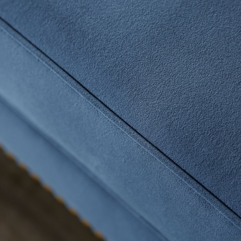 Adeben Transitional Blue Fabric Nailhead Trim Tufted 2-Piece Sofa Set by Furniture of America