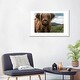 preview thumbnail 6 of 18, iCanvas "Portrait Of A Young Scottish Wooly Highland Cattle" by Michael Schauer PFA