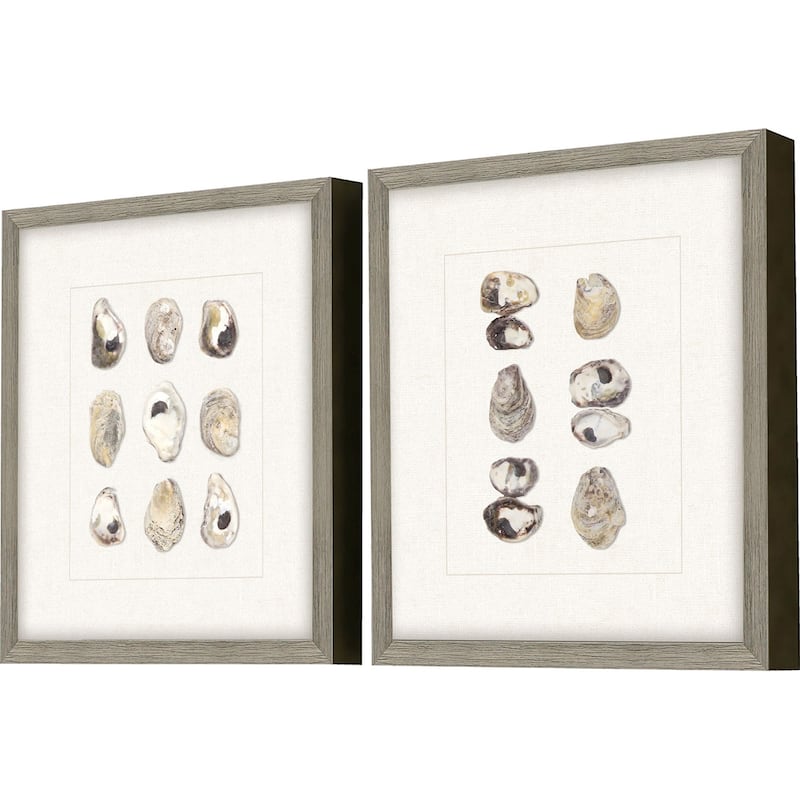 Shell Series S/2 Framed Exclusive Mixed Media Under Glass - Multi-Color