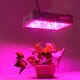Dual Chips 380-730nm Full Light Spectrum LED Plant Growth Lamp - 600W
