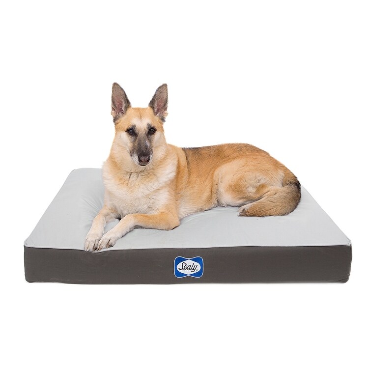 sealy dog bed extra large