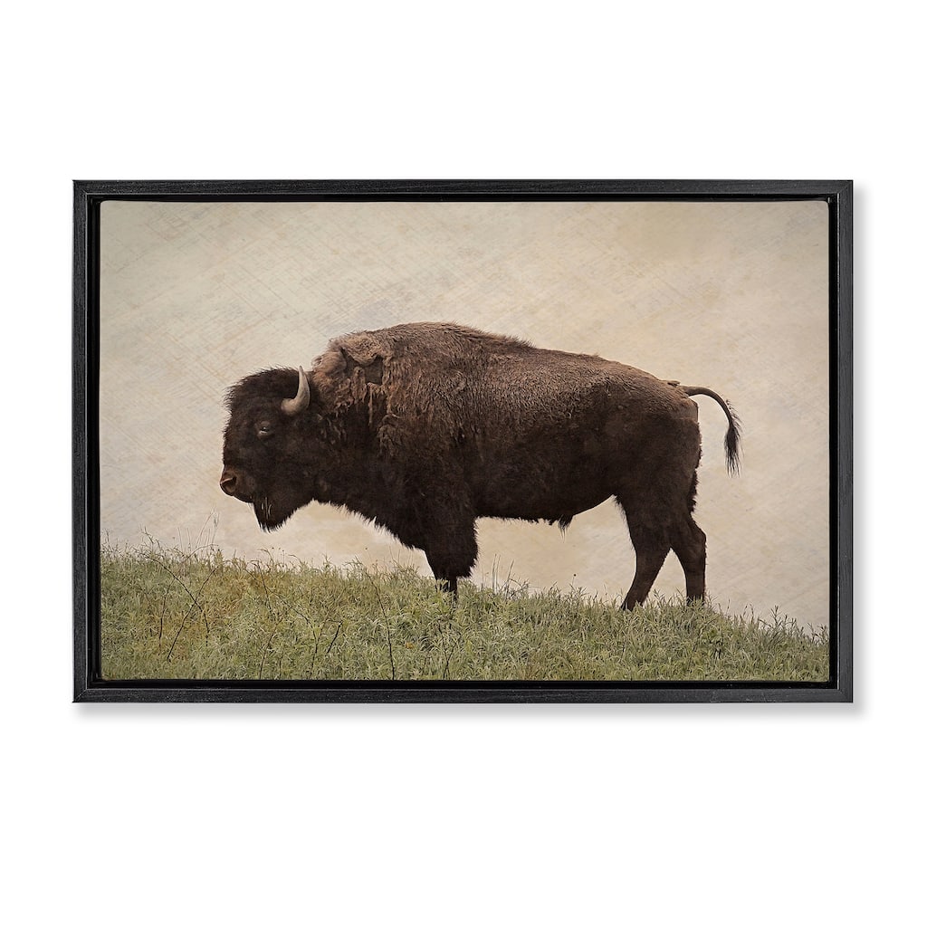 Stupell Serene Buffalo on Country Hill Framed Floater Canvas Wall Art Design By Steve Toole