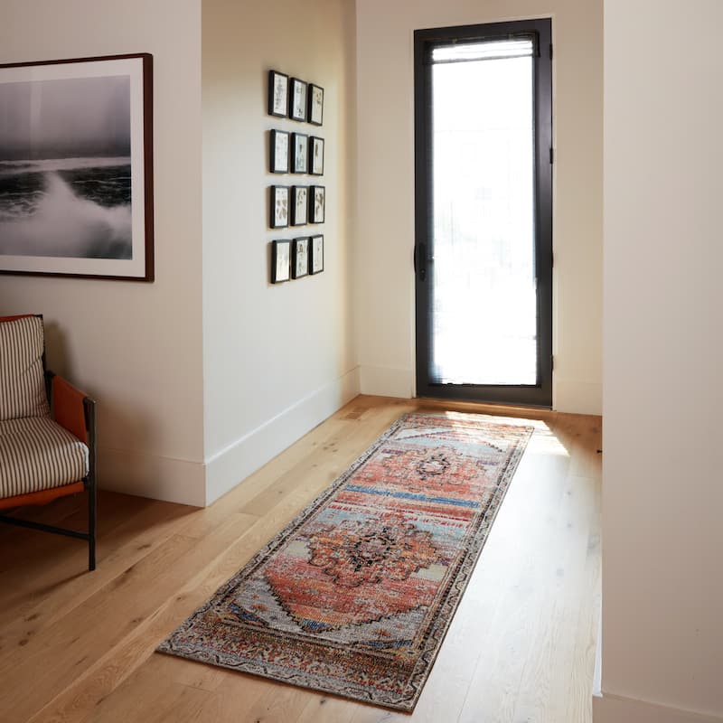 Cicero Indoor and Outdoor Medallion Area Rug