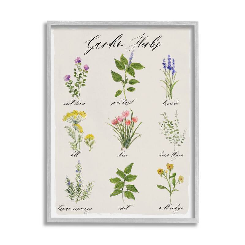 Stupell Garden Herb Illustrated Chart Natural Kitchen Seasoning Framed Wall Art - White