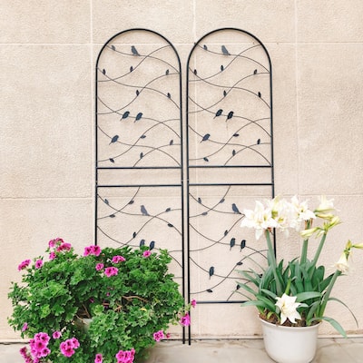 2 Pack Metal Garden Trellis 71in x 19.7in Rustproof Trellis