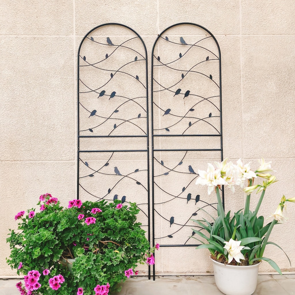 2 Pack Metal Garden Trellis 71in x 19.7in Rustproof Trellis
