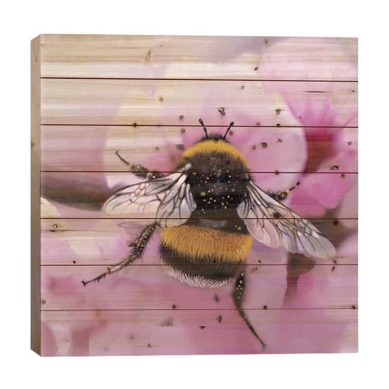 Sakura Buzz Print On Wood by Thomas Little - Multi-Color - 26x26x1.5
