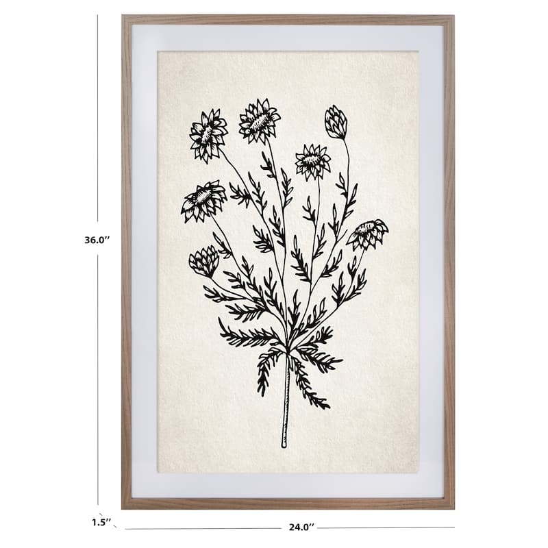 SAFAVIEH Vija Fresh Cut Flora Photograph, 24 x 36, Framed Wall Art - Ivory/Black