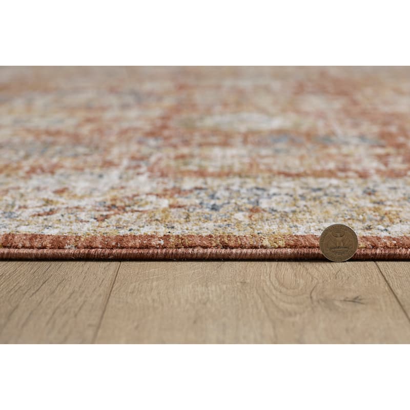 Domani Opulence Distressed Vintage Area Rug