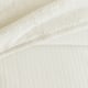 Option Ivory