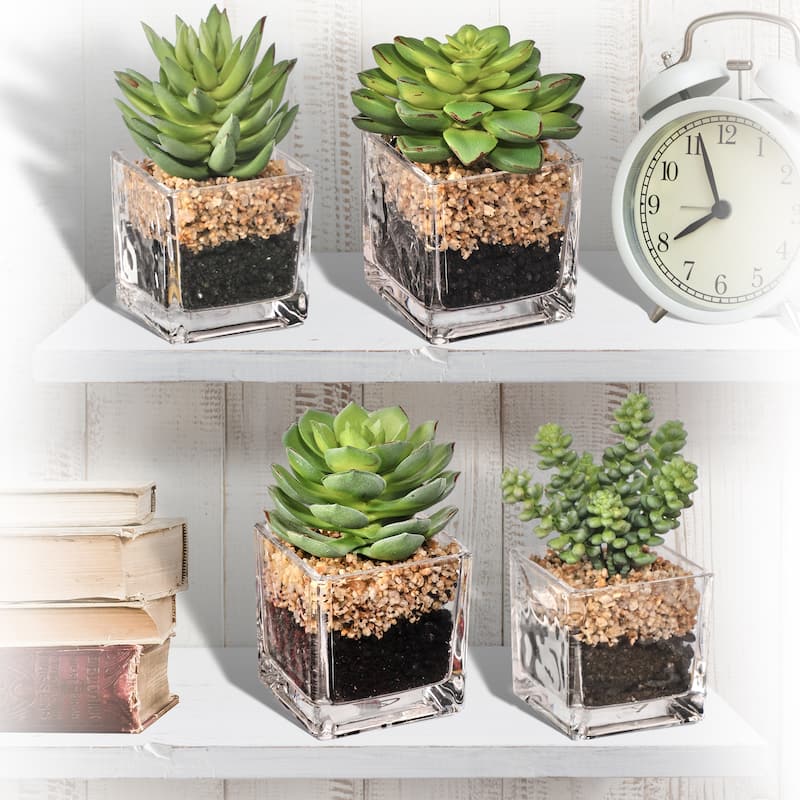 Plastic Succulent In Glass W Rock 4-5" Set of 4 - 5"