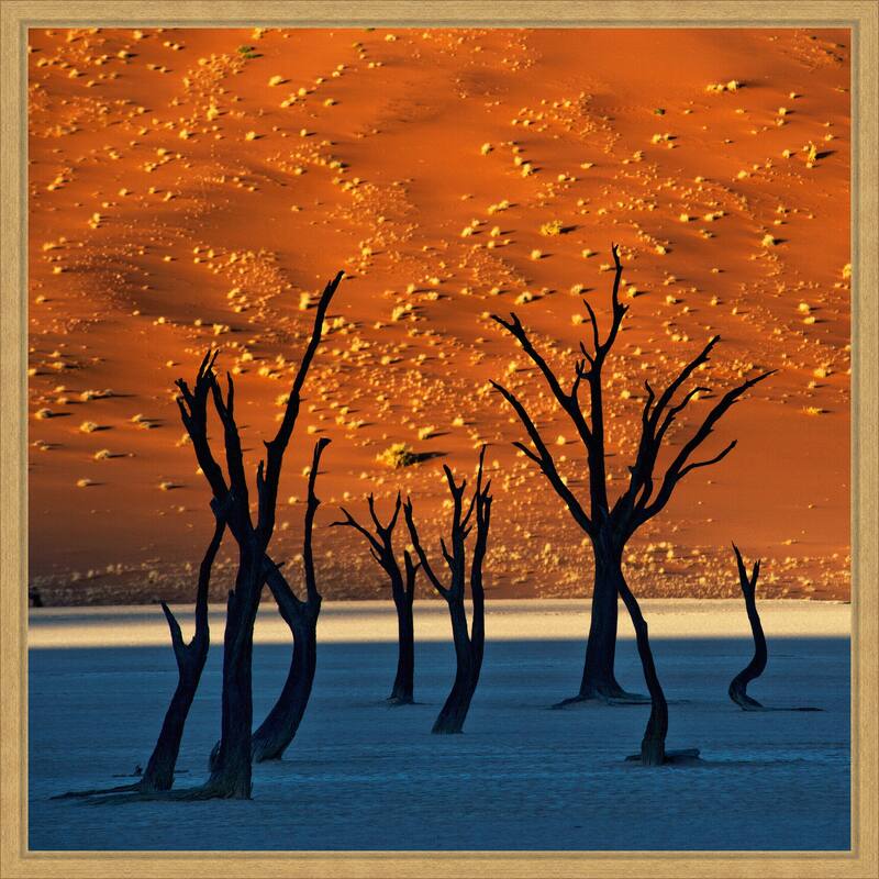 The Old Marsh by Sossusvlei Namibia Framed Canvas Wall Art Print