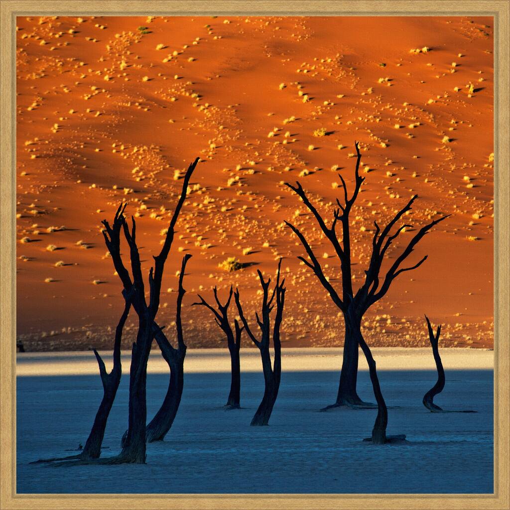 The Old Marsh by Sossusvlei Namibia Framed Canvas Wall Art Print
