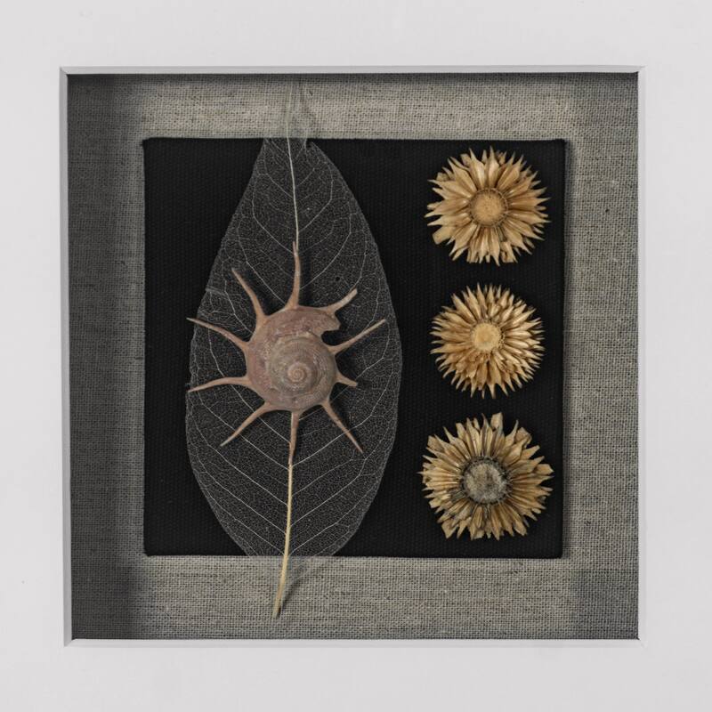 HUJI Land & Sea Shadow Box Wall Décor Set