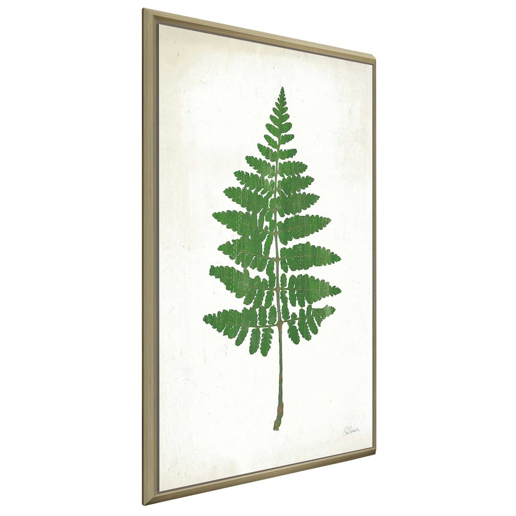 "Chalkboard Fern Green II" Print on Floating Canvas
