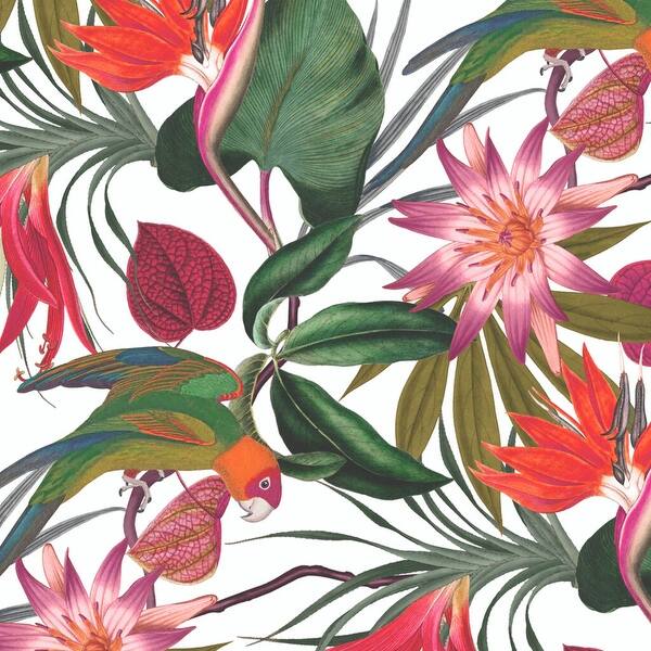 Shop Parrot White Wallpaper Overstock 31618833