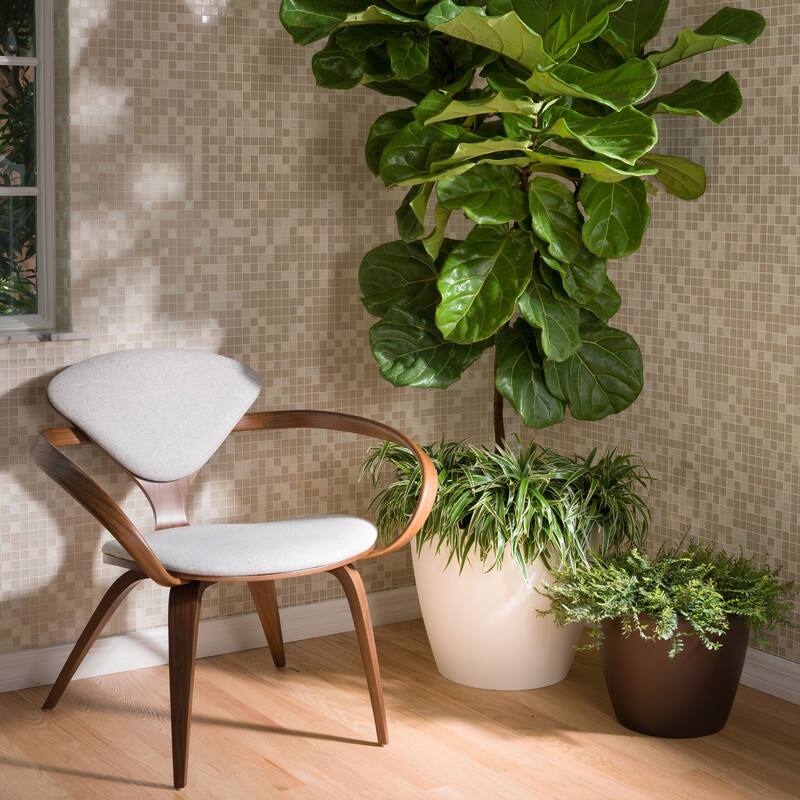 Eva Modern Houseplant Pot, Large Modern Pots for Indoor Plants