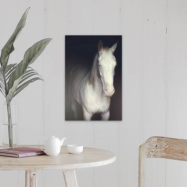15++ Best White horse wall art images info