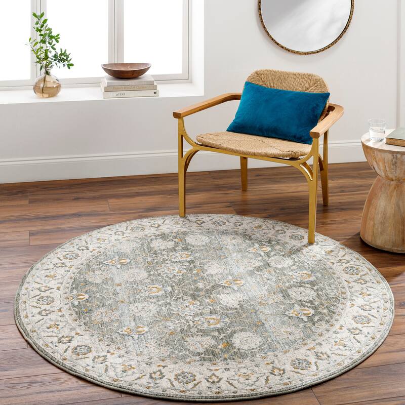 Jaylin Transitional Area Rug