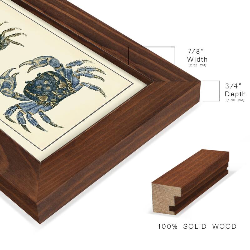 Antique Blue Crabs II -Framed Print w/glass-Cherry Red