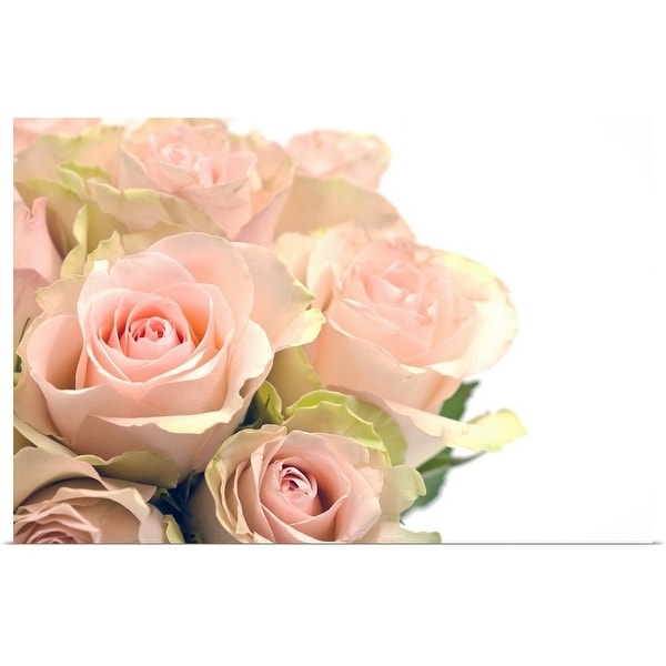 "Bouquet of pink roses" Poster Print