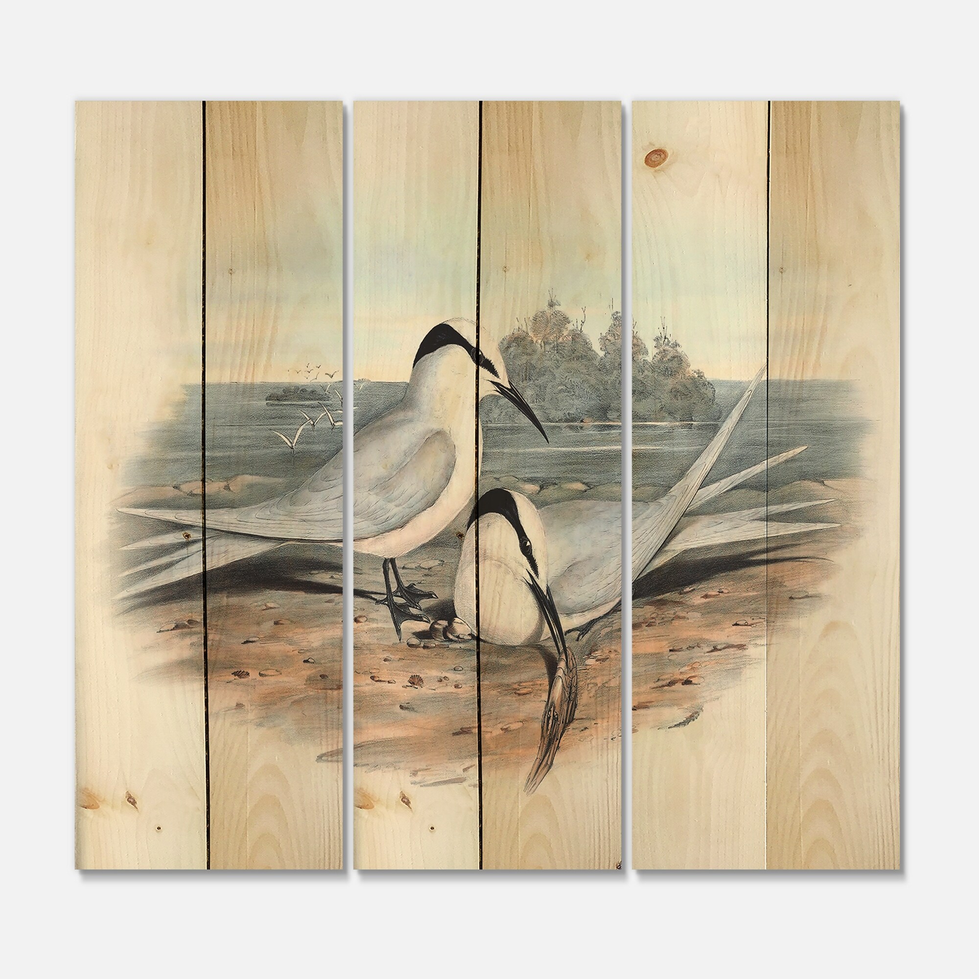 Designart 'Vintage Birds In The Wild IX' Traditional Print on Natural Pine  Wood - 3 Panels - Bed Bath & Beyond - 35038703