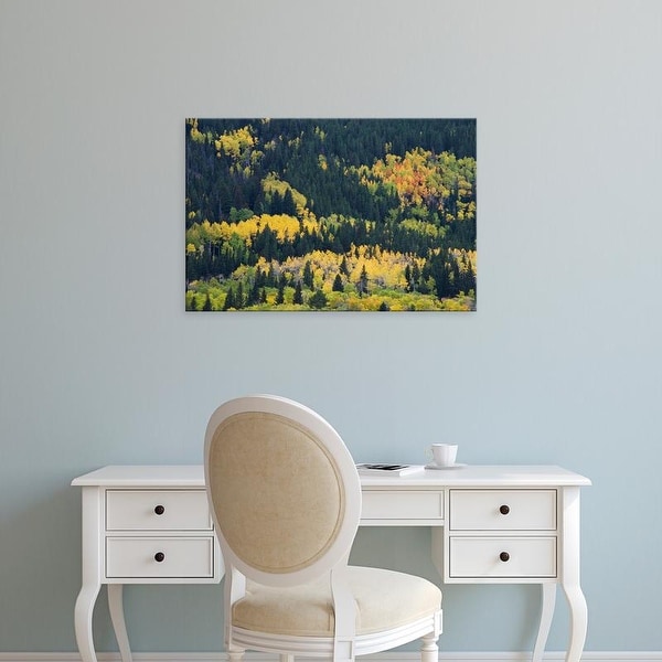 Easy Art Prints Rolf Nussbaumer's 'Aspen Trees In Fall Colors' Premium Canvas Art