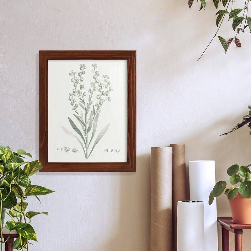 Botanical Study in Sage I -Framed Print w/glass-Cherry Red