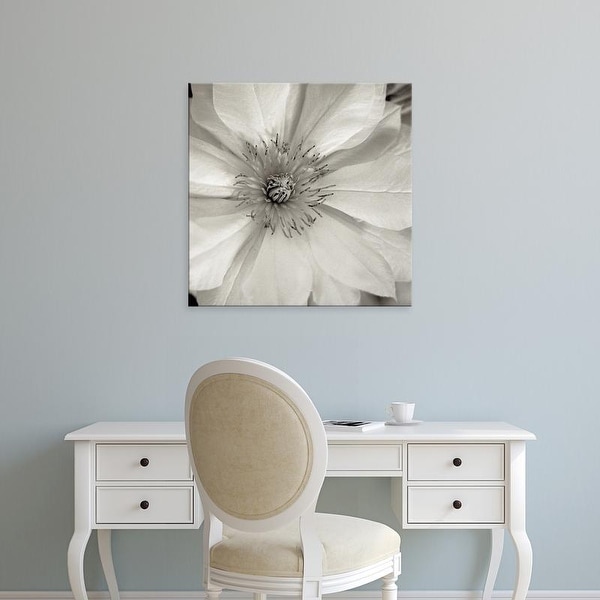 Easy Art Prints Alan Blaustein's 'Florison #32' Premium Canvas Art