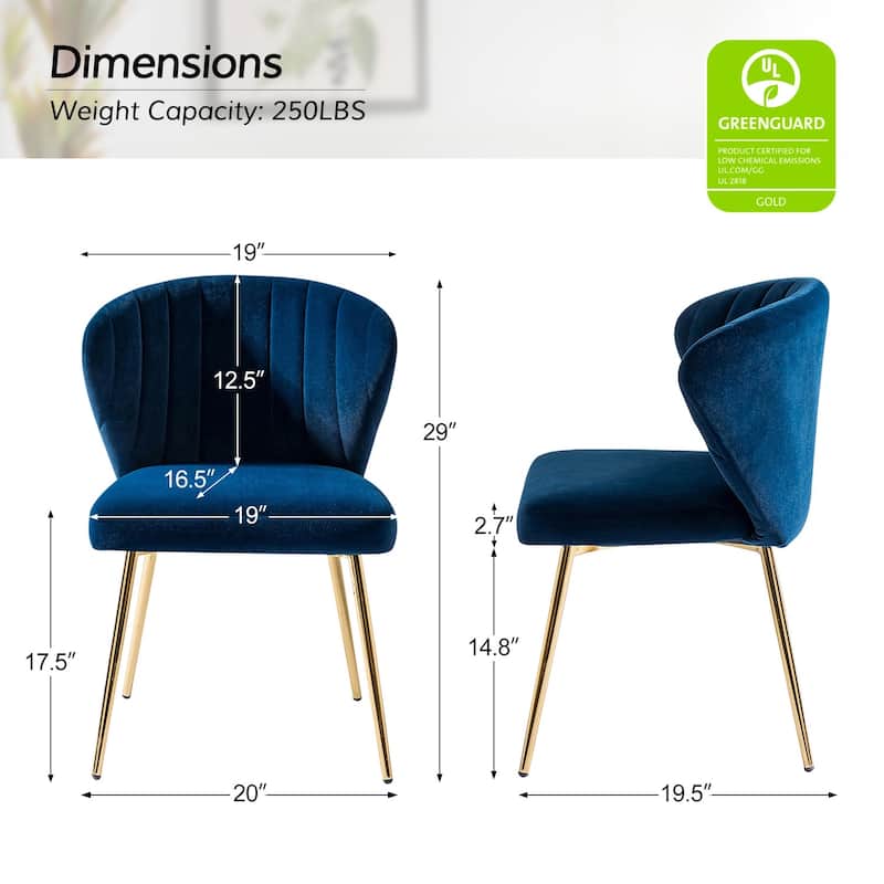 Aruna Accent Chair with Metal Legs 20''W X 19.5 ''D X 29''H by HULALA HOME