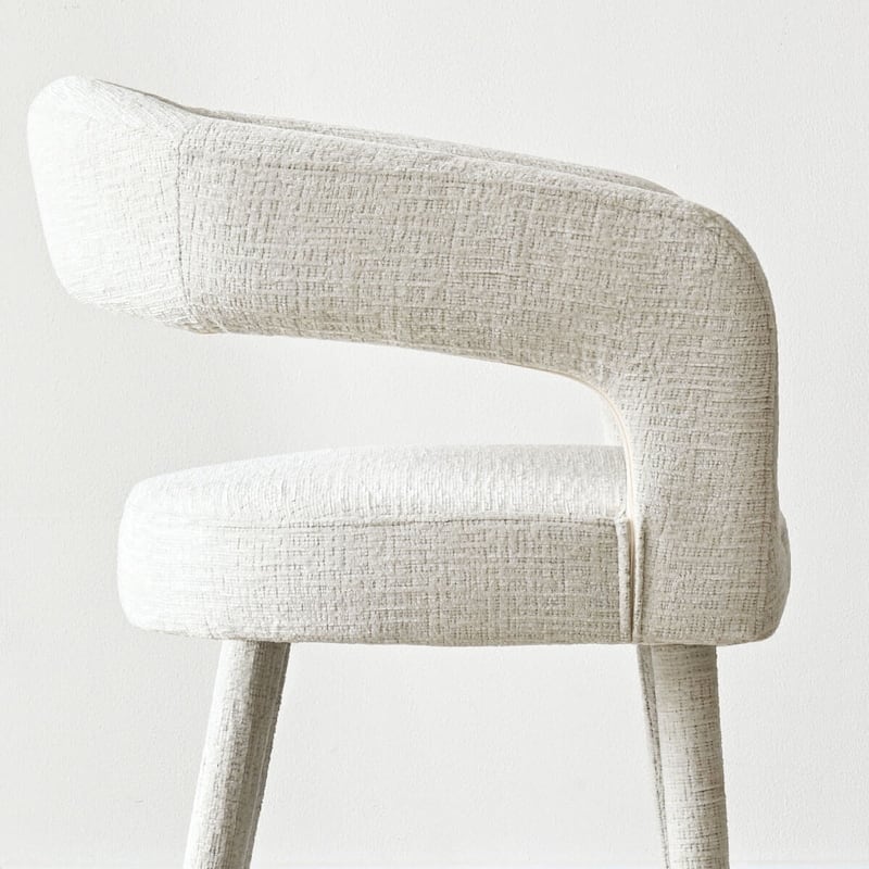 Modern Upholstered Dining Chairs with Arm (Set of 2)