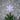 14.75" Lighted LED Clip-On Snowflake Christmas Tree Topper White Lights - 14.75