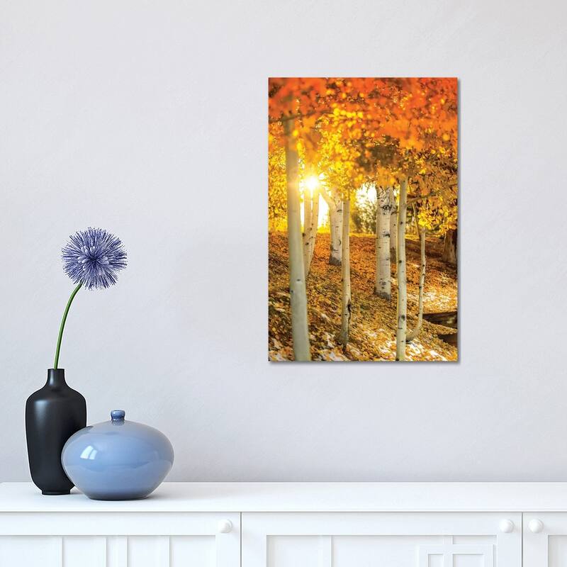 iCanvas "Sunburst Through The Aspens" by Jonathan Ross Photography Canvas Print - 18x12x1.5