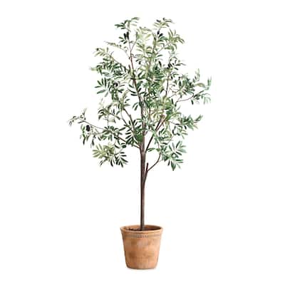 Uttermost Olea Potted Olive Tree