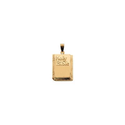 14k Yellow Gold 19.5x13mm Bible Pendant