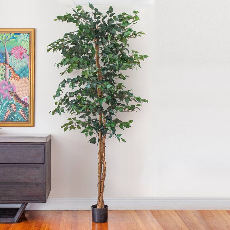 7’ Ficus Silk Artificial Tree in Black Pot