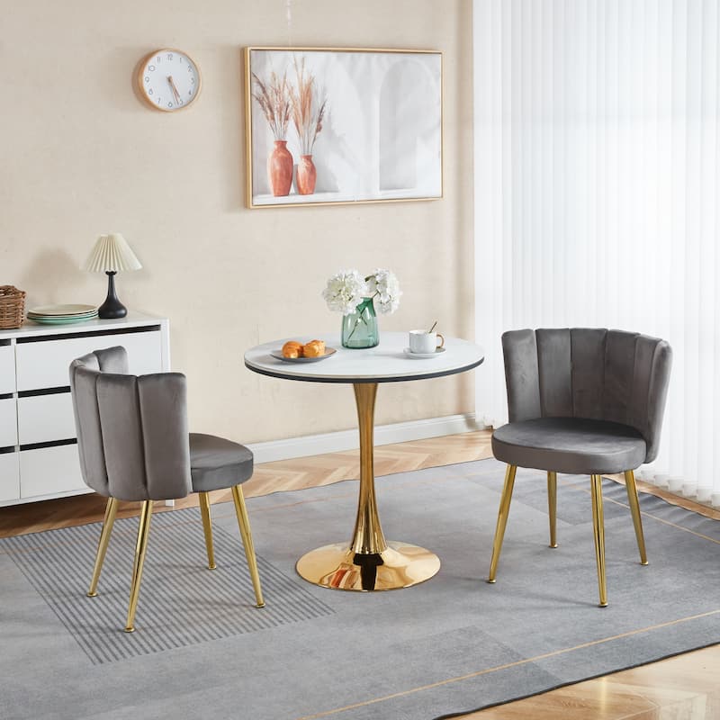 Modern dining chair(set of 2 ) with iron tube golden color legs, velvet and comfortable backrest