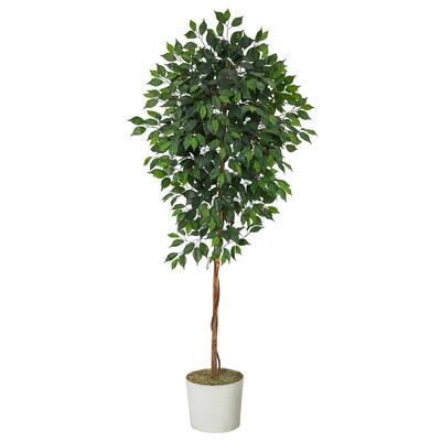 6' Ficus Artificial Tree in White Tin Planter - 10"