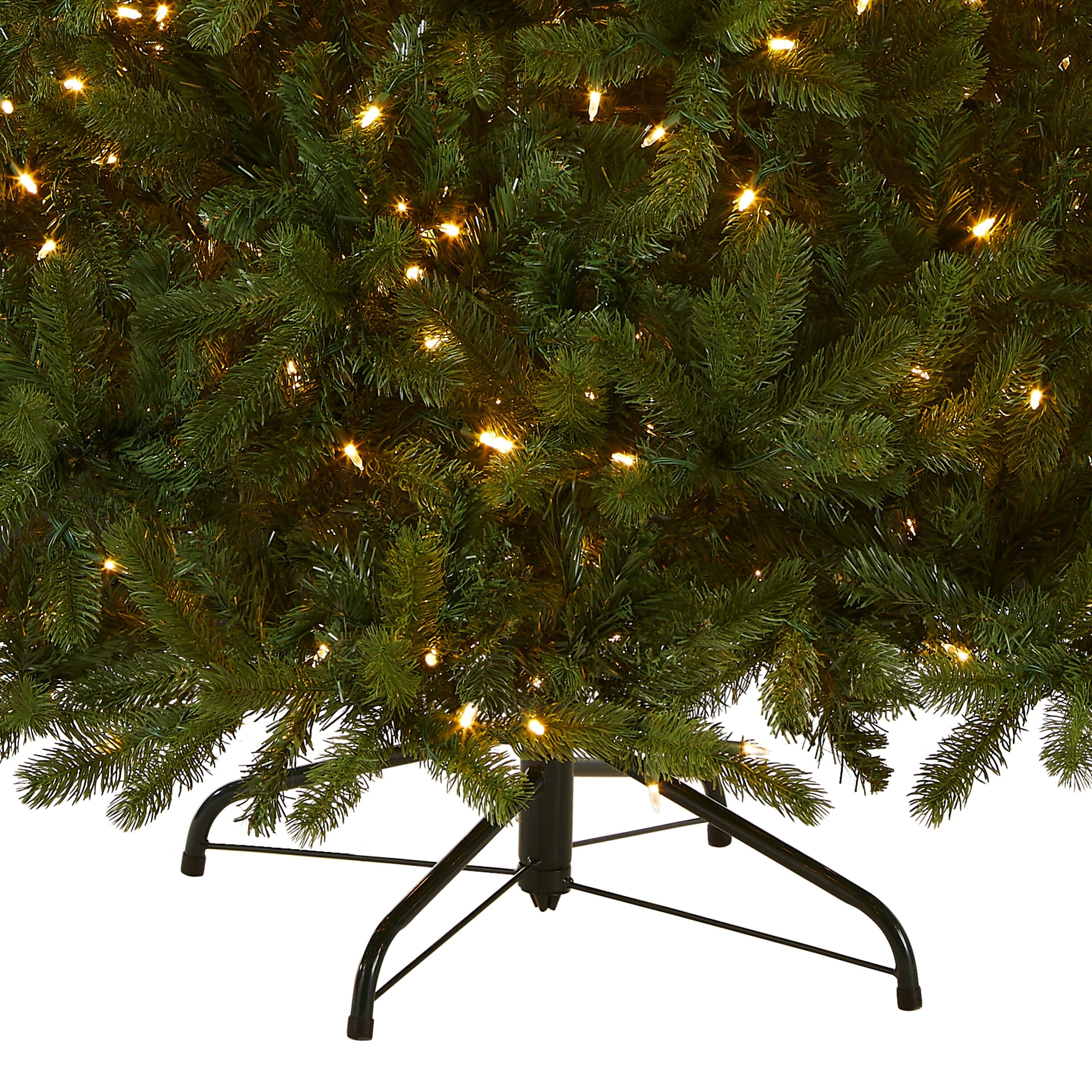 Downswept douglas online fir