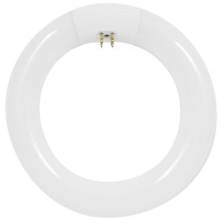 Satco 22 Watt T9 Circline Fluorescent Bulb - Warm White Light For Home & Office Lighting