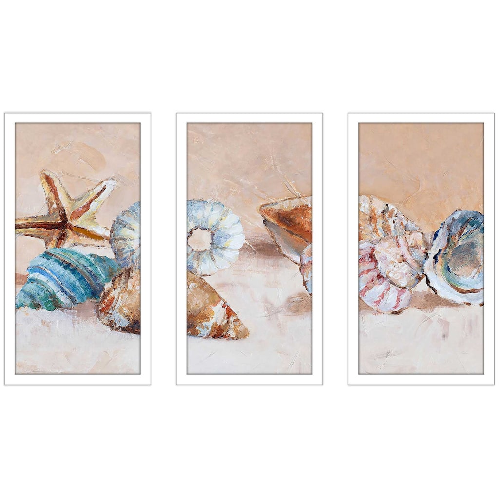 "Gathered Shells on the Shore" 3 Piece Print on Acrylic