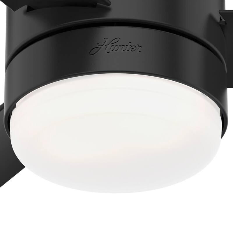 Hunter 52" Gilmour Outdoor Low Profile Ceiling Fan with LED Light, Handheld Remote, Damp Rated - Contemporary, Transitional
