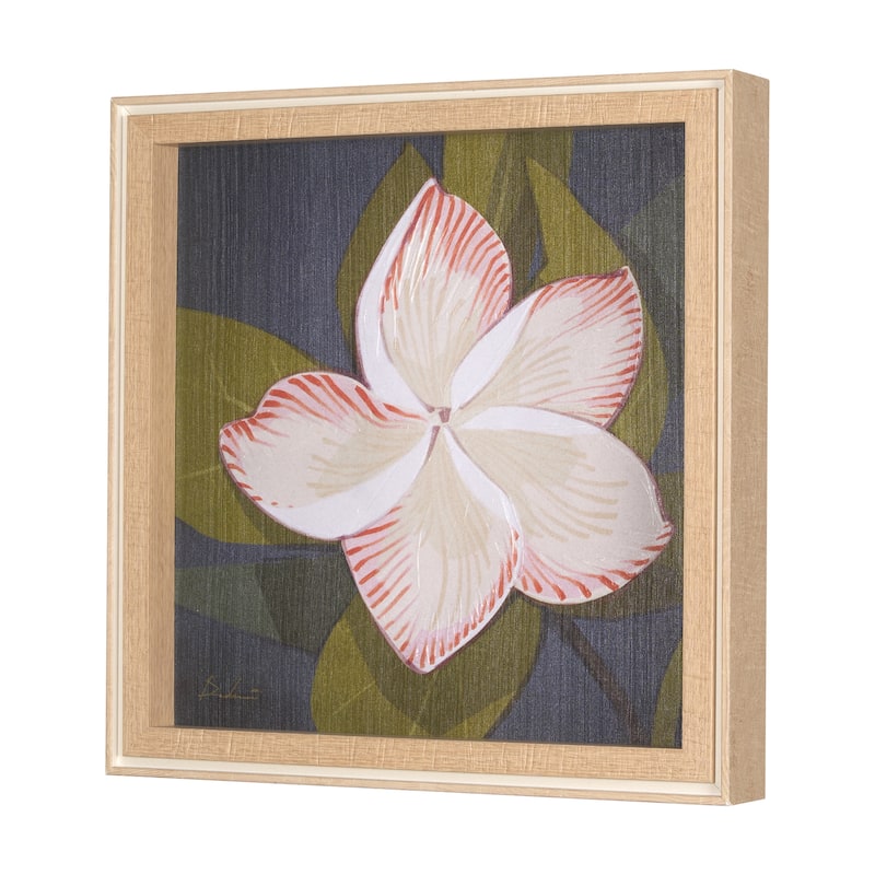 Flower Portrait III (FRANGIPANI) by Mercana Studio a Hand Embellished Textured Framed Art Print
