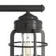 preview thumbnail 14 of 20, Hunter Starklake 4 Light Vanity Wall Light, Industrial, Cage, Rustic