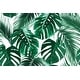 Hawaiian Green Leaves Peel and Stick Wallpaper - 24'' W x 10' L - Bed ...