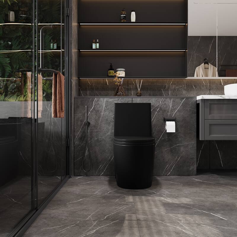 1.1/1.6 GPF Dual Flush 1-Piece Elongated Toilet with Matte Black - Matte Black