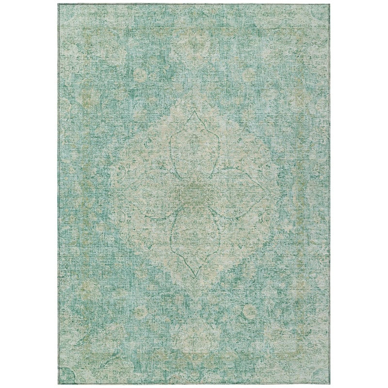 Machine Washable Indoor/Outdoor Traditional Global Chantille Rug