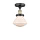 Option Matte White / Black Antique Brass